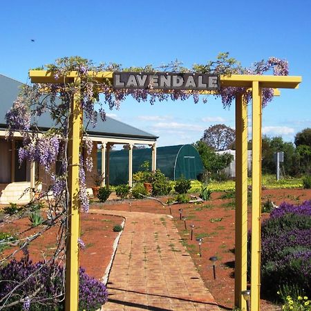 Lavendale Country Retreat Villa York Ngoại thất bức ảnh